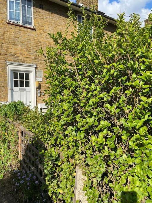 One Bedroom Putney Village Flat Londra Esterno foto